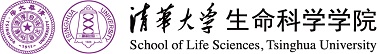 优德官方网站w88